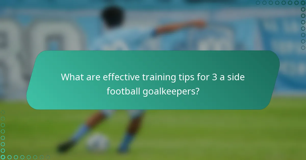 What are effective training tips for 3 a side football goalkeepers?